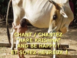 Hare Krishna