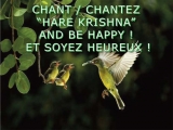 Hare Krishna