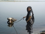 India