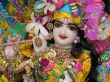 Krsna