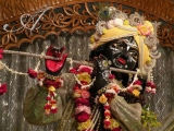 Krsna
