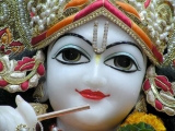 Krsna