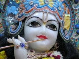 Krsna