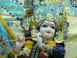 Krsna