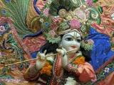Krsna