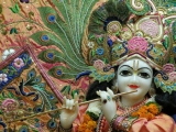 Krsna