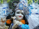Krsna