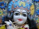 Krsna