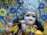 Krsna