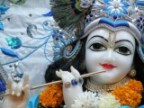 Krsna