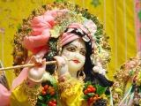 Krsna