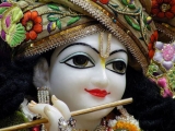 Krsna