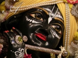 Krsna