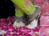Krsna