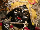 Krsna