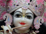 Krsna