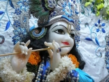 Krsna