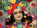 Krsna