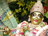 Krsna