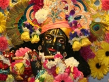 Krsna