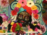 Krsna