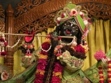 Krsna