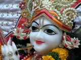 Krsna