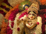 Krsna