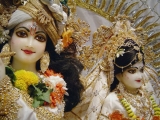 Krsna