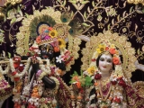 Krsna