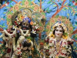 Krsna