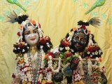 Krsna