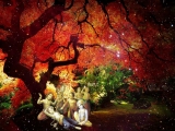 Krsna