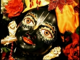 Krsna