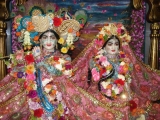 Krsna