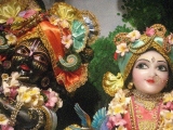 Krsna