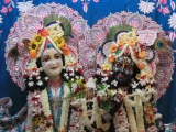 Krsna