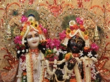 Krsna