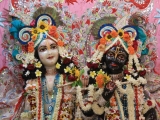Krsna