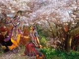 Krsna