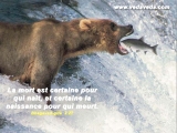 Cartes philosophiques