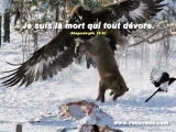 Cartes philosophiques
