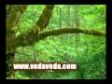 direction_fr.wmv