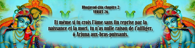 bg.2.27 (49)