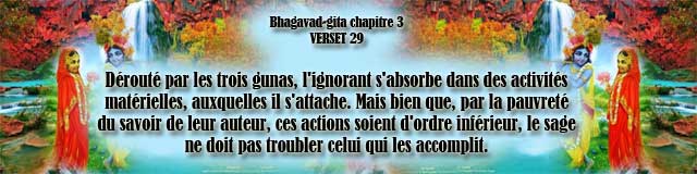 bg.3.29(83)