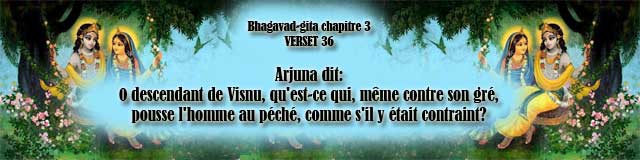 bg.3.36(90)