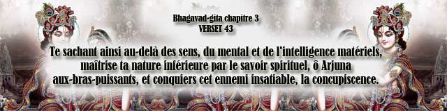 bg.3.43(96)